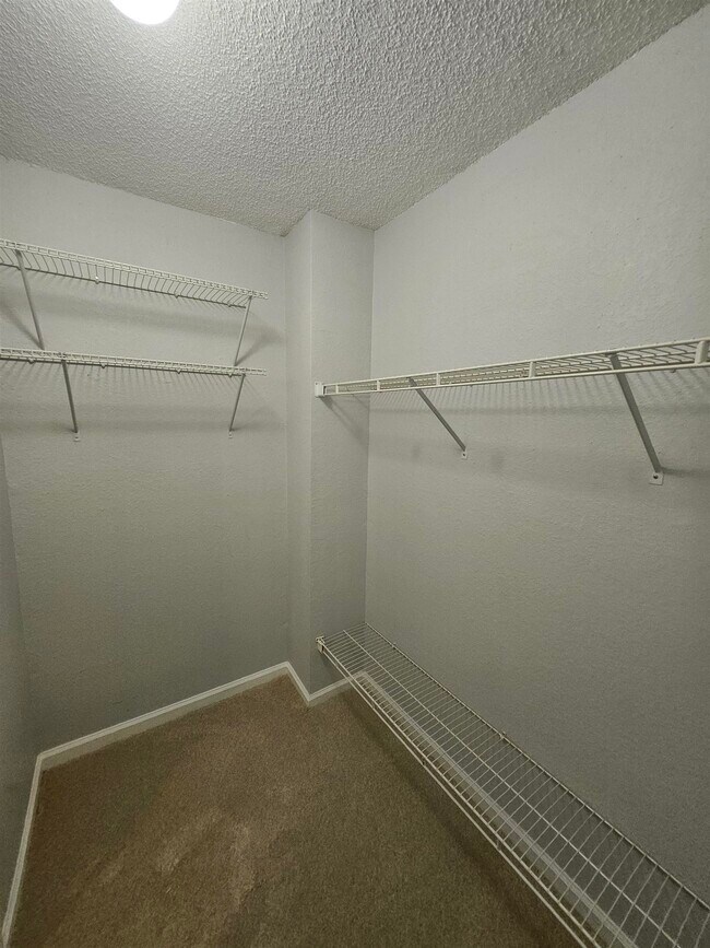Building Photo - 3377 Tansey Ct