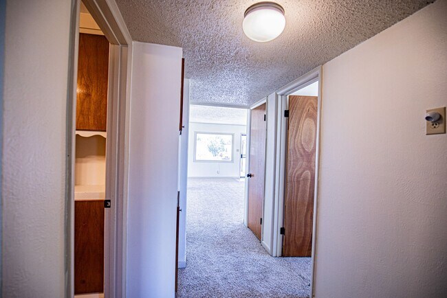 Building Photo - 3 Bedroom 1.75 bath with Solar Panels
