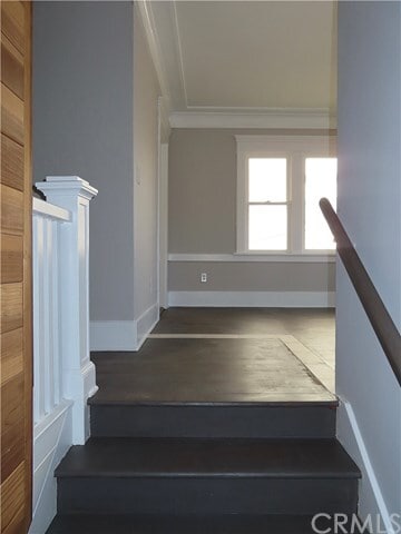 Building Photo - 23 N Alboni Pl