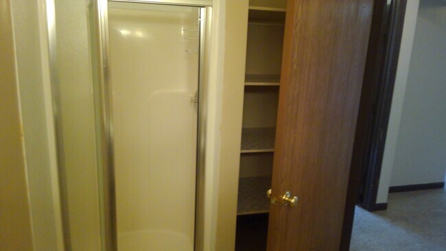 Main bathroom shower stall - 242 Spartan Ave