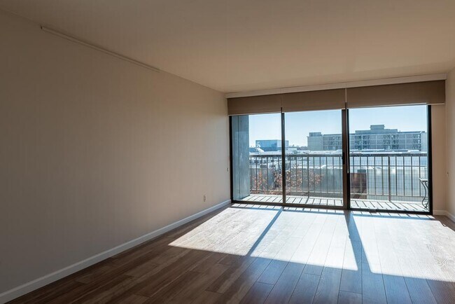 Living room on a sunny, winter day. The sun enters the windows in the fall and winter only - 500 N St