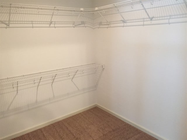 Building Photo - 516 Amsonia Cir