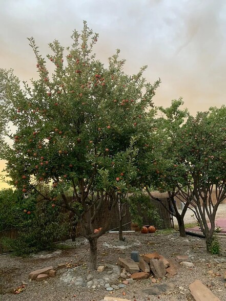 Building Photo - 948 Acequia de las Joyas