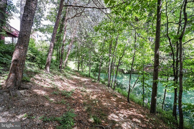 Building Photo - 6207 Woodland Lake Dr