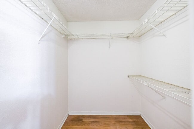 Building Photo - NEW PRICE! 3/2 Palm Harbor Townhouse