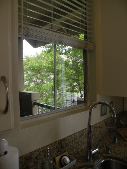 View from kitchen window - 8680 New Salem St