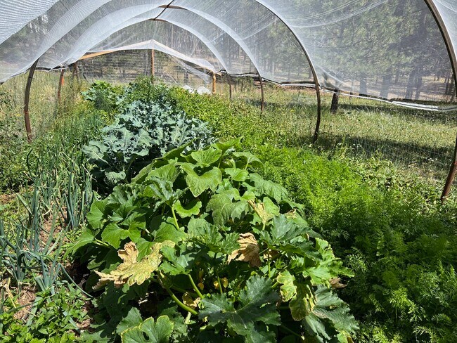 Building Photo - 6980 Wildridge Rd