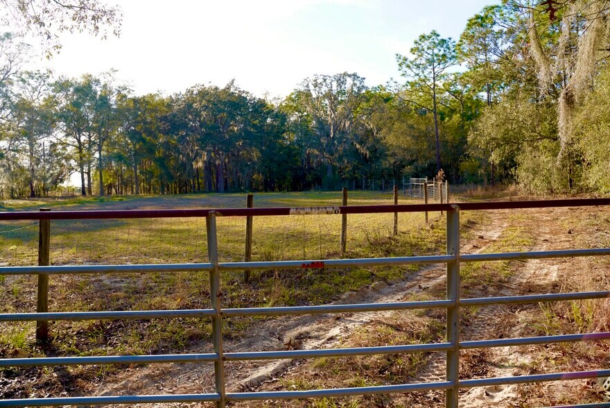 Building Photo - 29205 Saddle Oaks Ln