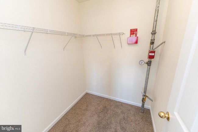 Building Photo - 202 Carsons Ct