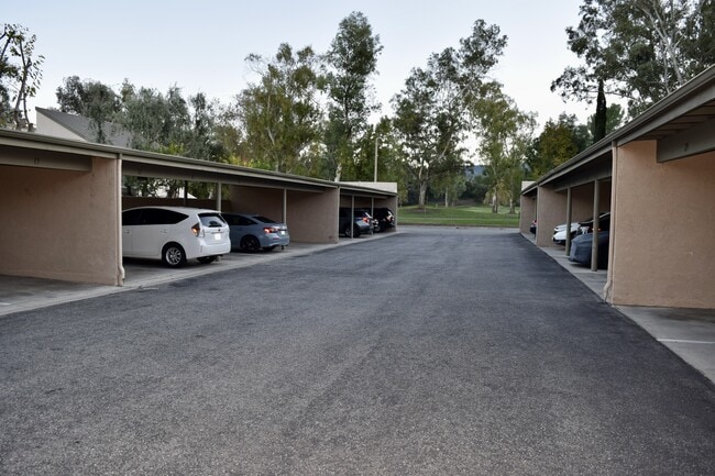 Building Photo - 24525 Trevino Dr