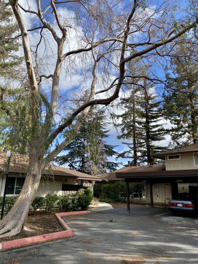 Building Photo - 4971 Ponderosa Ter