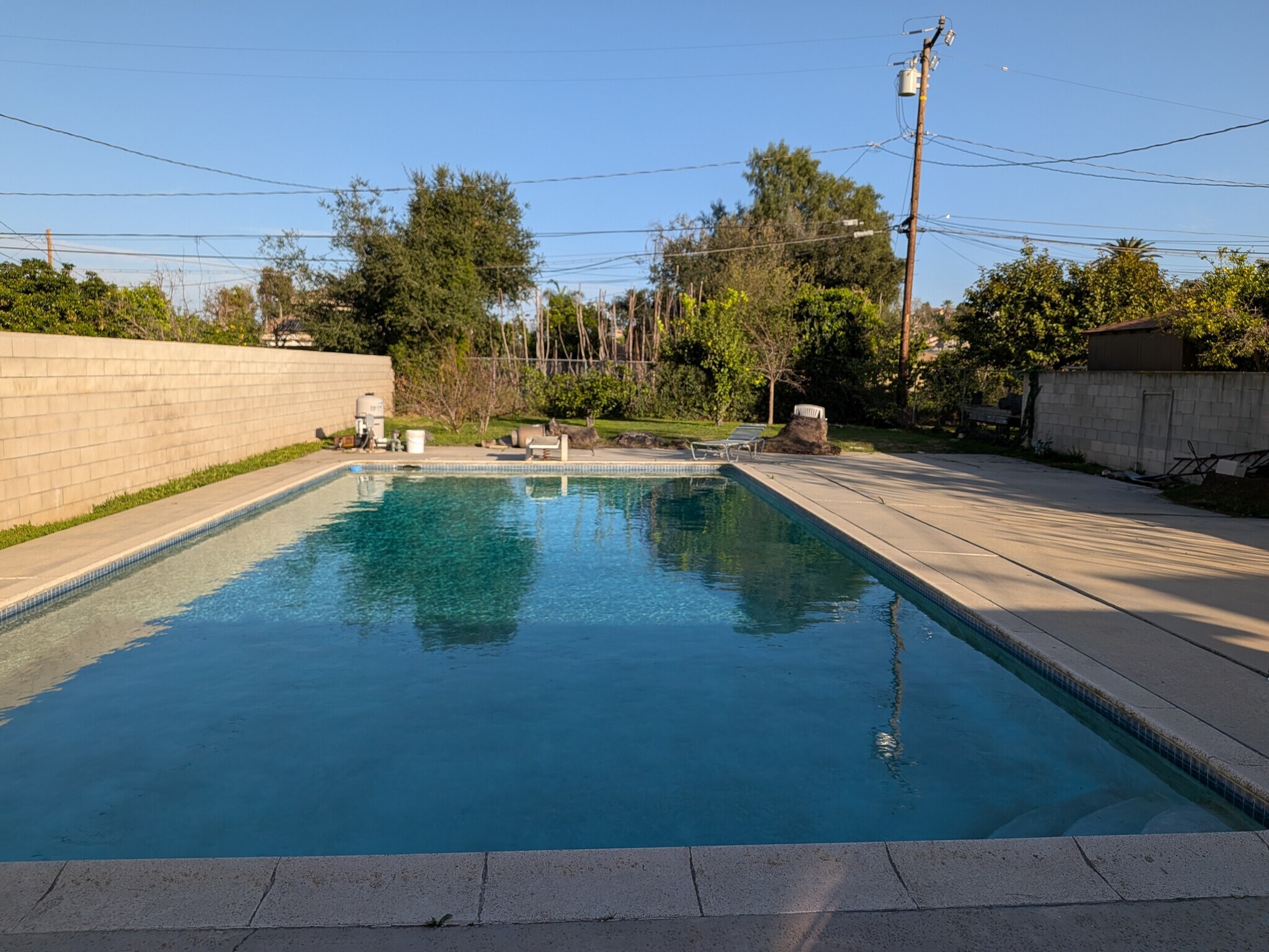 Pool - 336 S Ynez Ave