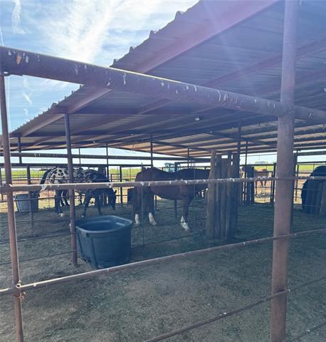 Building Photo - 4435 Hayter Rd