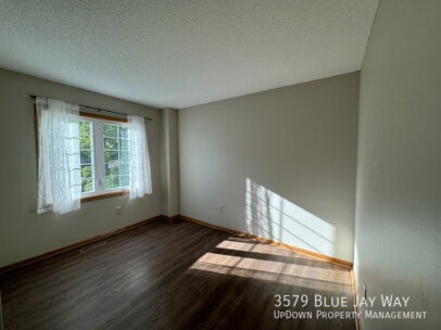 Building Photo - 3579 Blue Jay Way