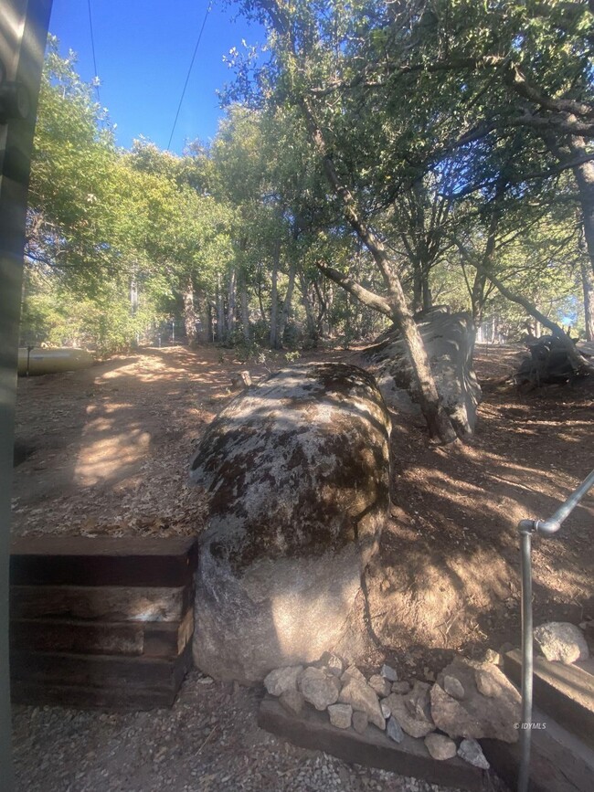 Building Photo - Move-In Ready Newer Tiny Home in The Forest