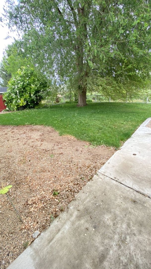 Building Photo - Spacious Home In A Quiet Subdivision