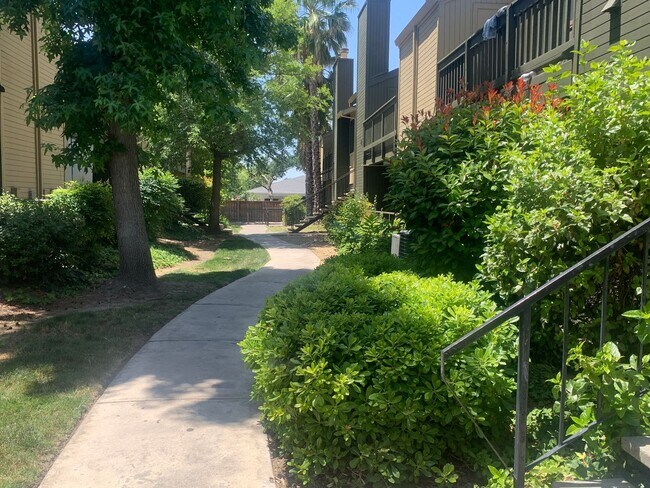 Building Photo - Downstairs 2 bed 2 bath brand new condo wi...