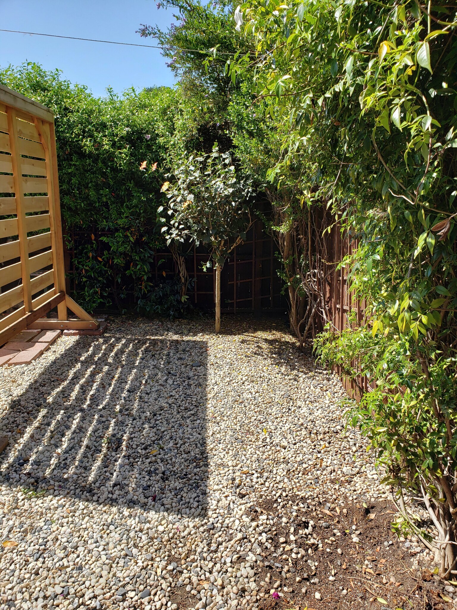 yard - 1077 12th Street
