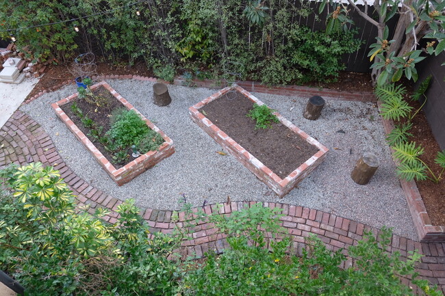 Raised veggie beds - 1417 Ellsmere Ave