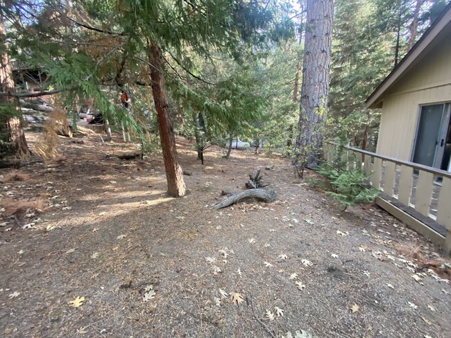 Building Photo - 2bd/1ba Single-Story Modified A-frame For ...