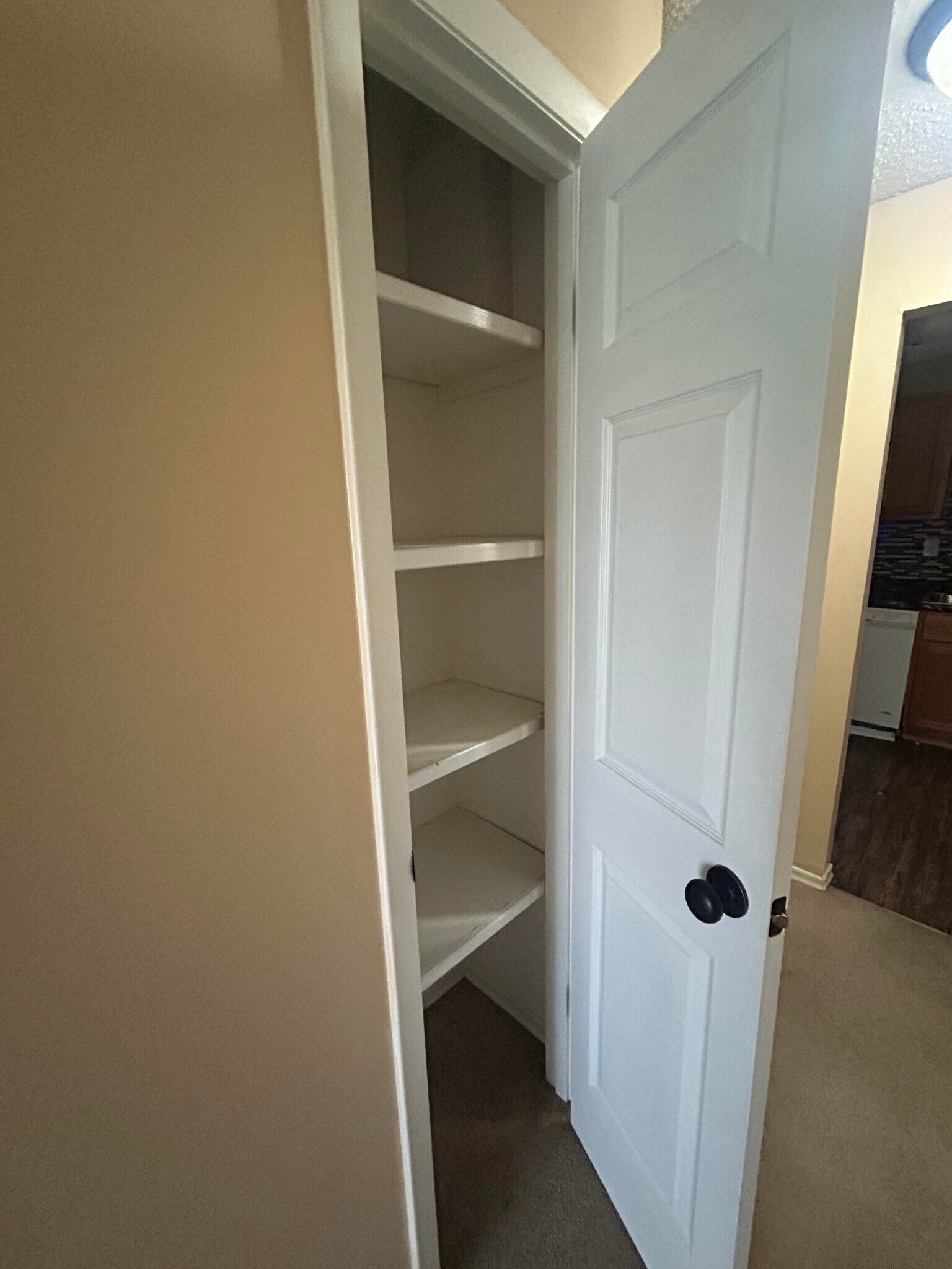 Linen Closet - 1233 Guelbreth Ln