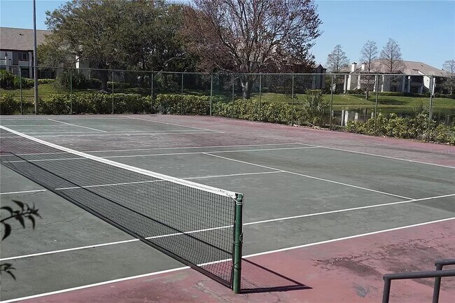 Pickle Ball Courts - 10265 Gandy Blvd N