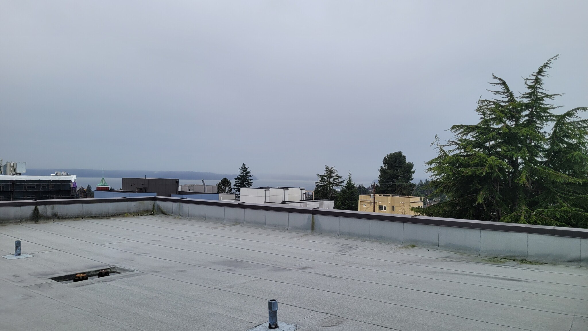 Building Photo - 4116 California Ave SW