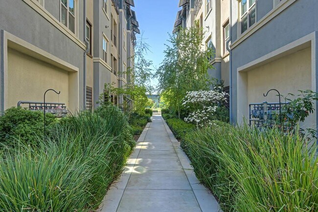 Building Photo - 2 Bed 2 Bath (plus a den) Gala Condo
