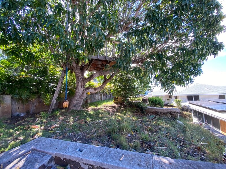 Backyard with mango tree, treehouse, and swing. - 3716 Claudine St
