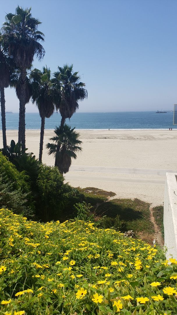 Building Photo - One Bedroom Steps From The Beach