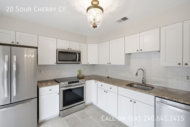 Building Photo - 20 Sour Cherry Ct
