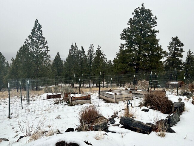 Building Photo - Cozy 1-Bed Cabin on 30 Private Acres – Incredible Views & Outdoor Access