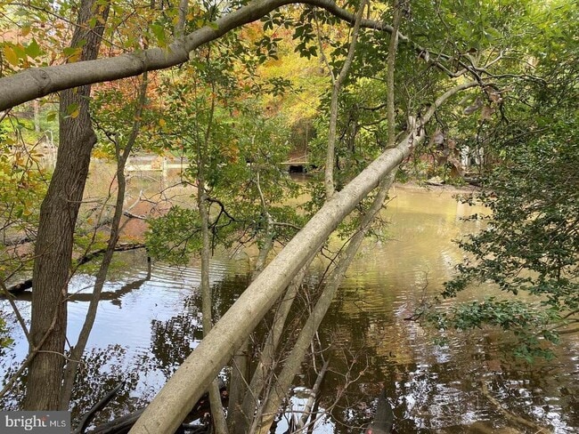 Building Photo - 1342 Edna Rd