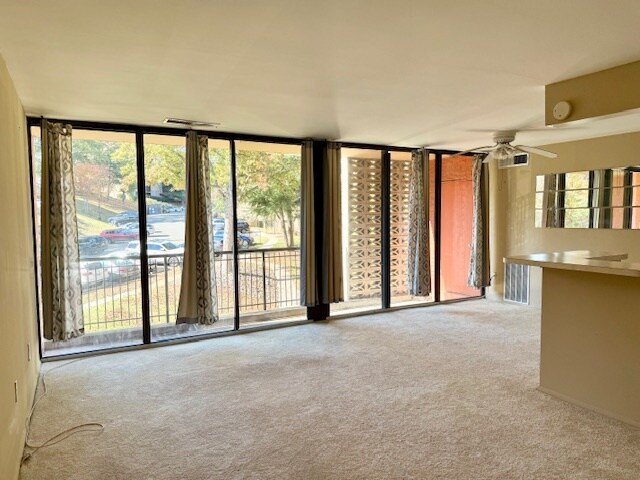 View when you first walk in - 12 S Van Dorn St