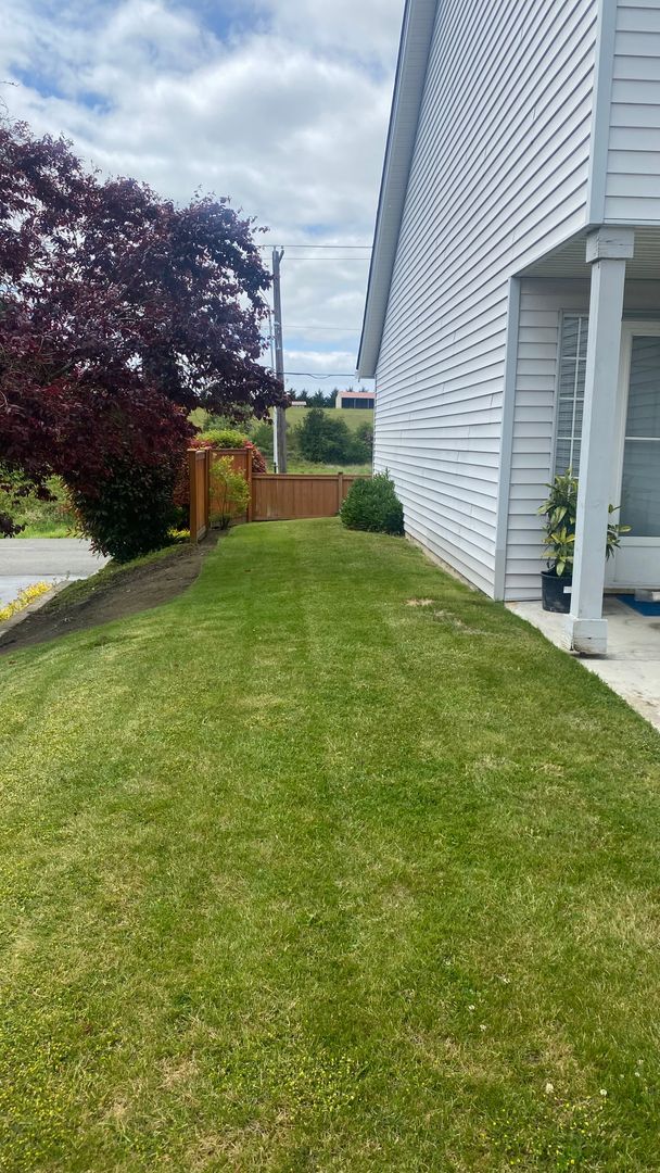 Building Photo - Desirable Milton Home!