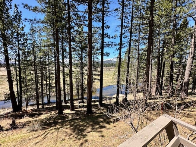 Building Photo - Warm & Inviting Cabin on the Meadow Avail. rental for 6-7 people!! Available starting 8/15/26!! C...
