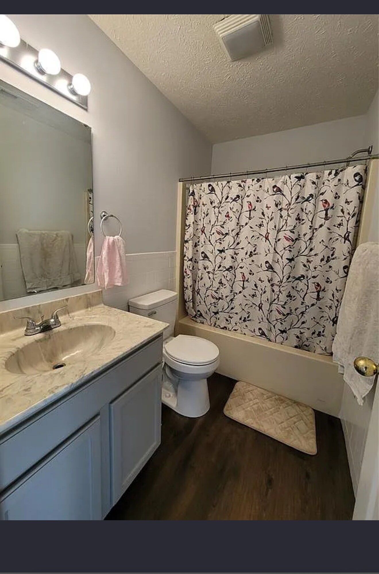 Building Photo - 3630 Fieldmint Ct