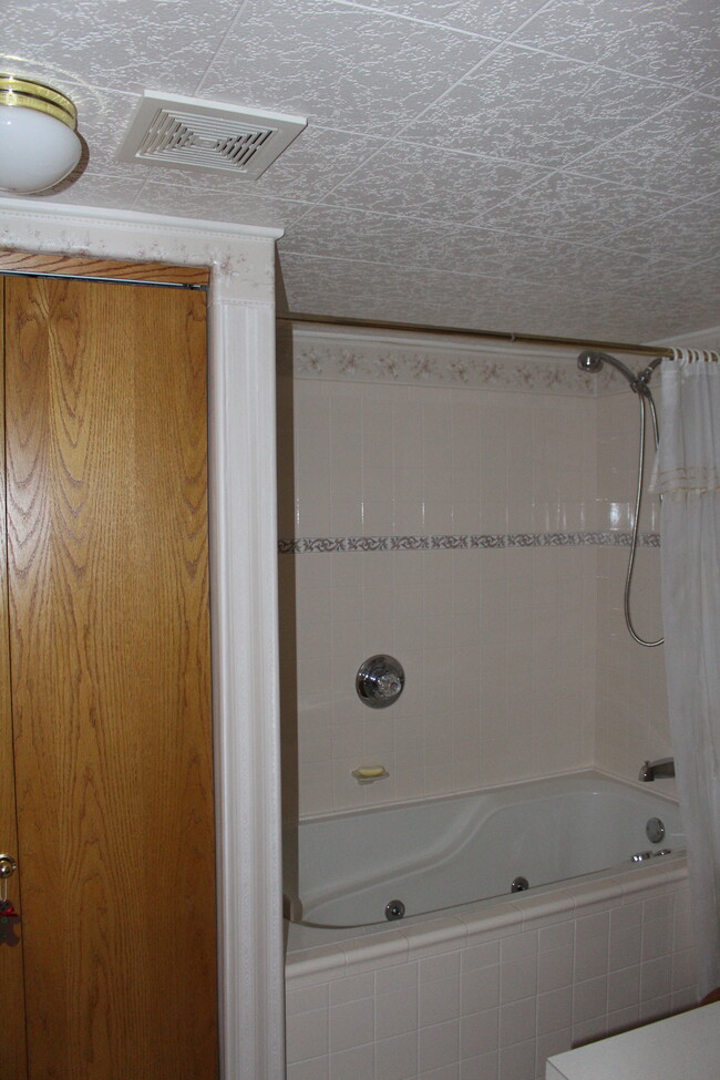 basement bath with jetted tub - 2350 Moorgate Dr