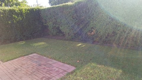 Building Photo - 3798 Flora Vista Ave