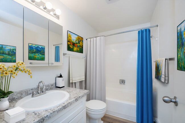 1 Bedroom Standard Staged - Courtyard North Apartments