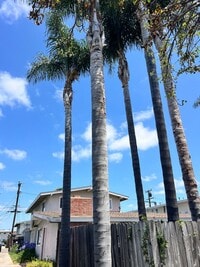 Building Photo - 1552 Elm Ave