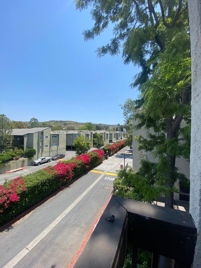 Building Photo - 1311 Summertime Ln