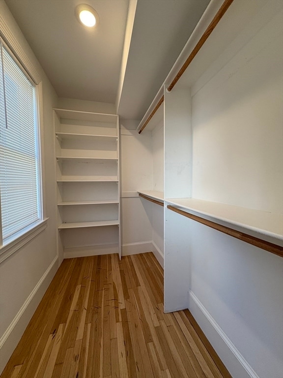 Building Photo - 15 Lanark Rd