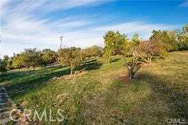 Building Photo - 2440 Los Alisos Dr