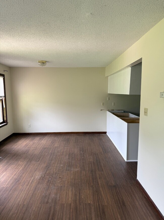 new cabinets and counter tops - 117 Briarwood St