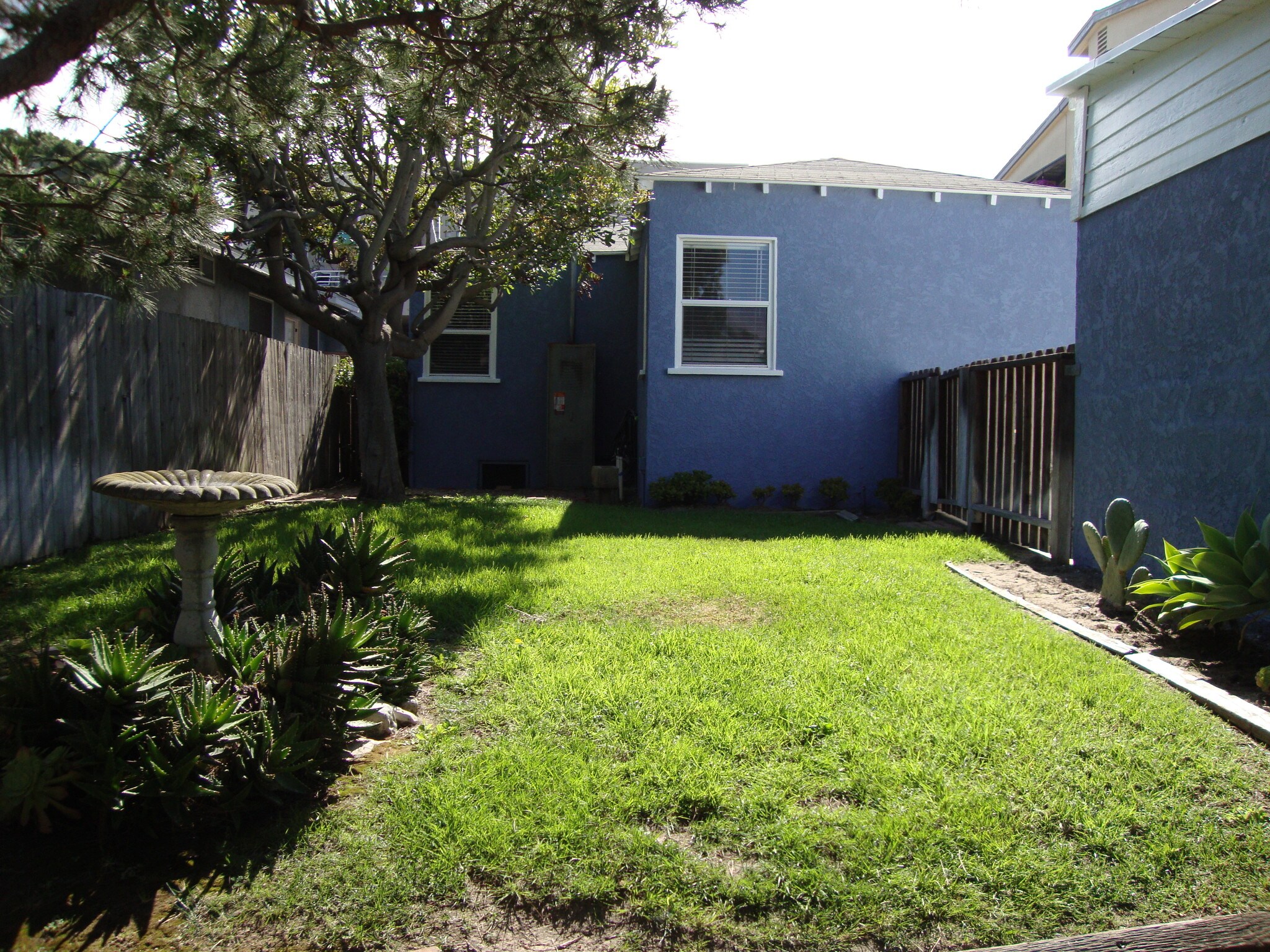 Upper back yard look back at house - 812 Bard St