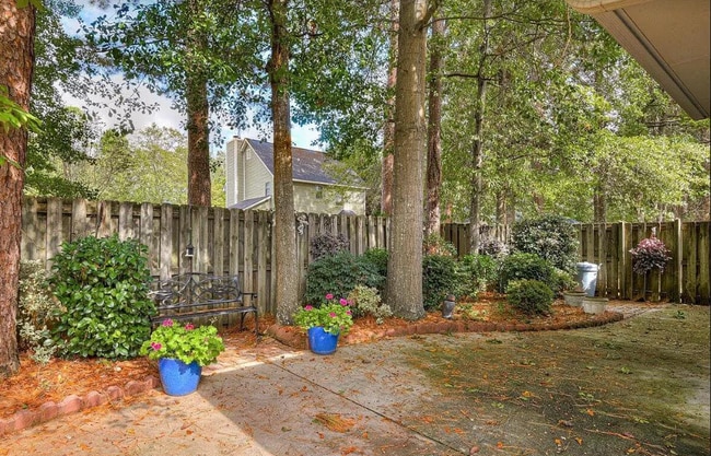 Backyard - 1191 Carriage Dr