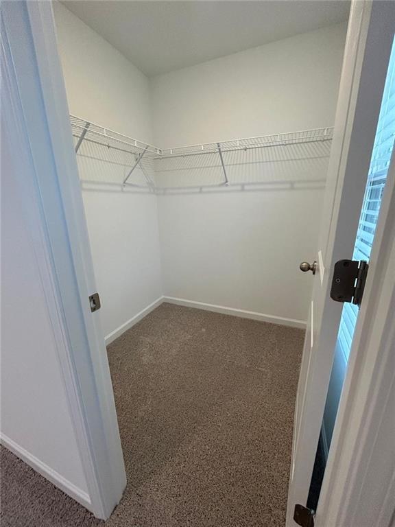 Building Photo - 207 Kinship Dr