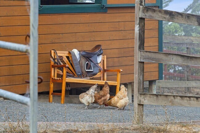 Building Photo - 6381 Nicasio Valley Rd