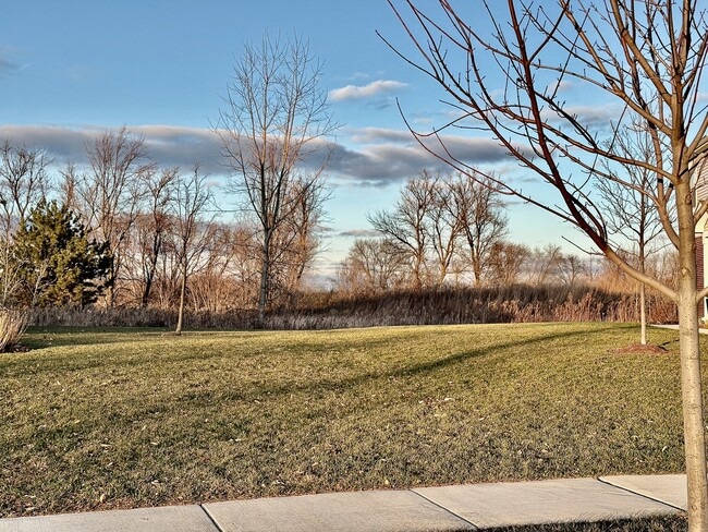 Building Photo - 1327 Draper Rd